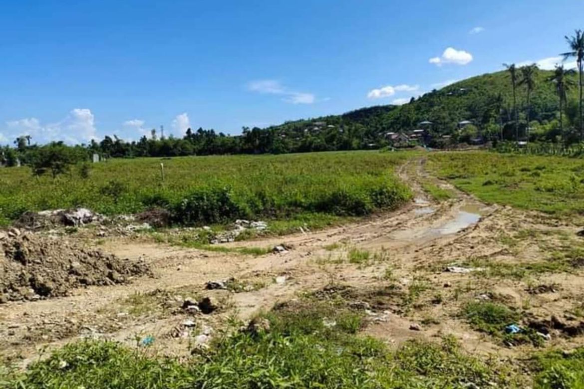Land for Sale in Danglag, Consolacion, Cebu – photo 8