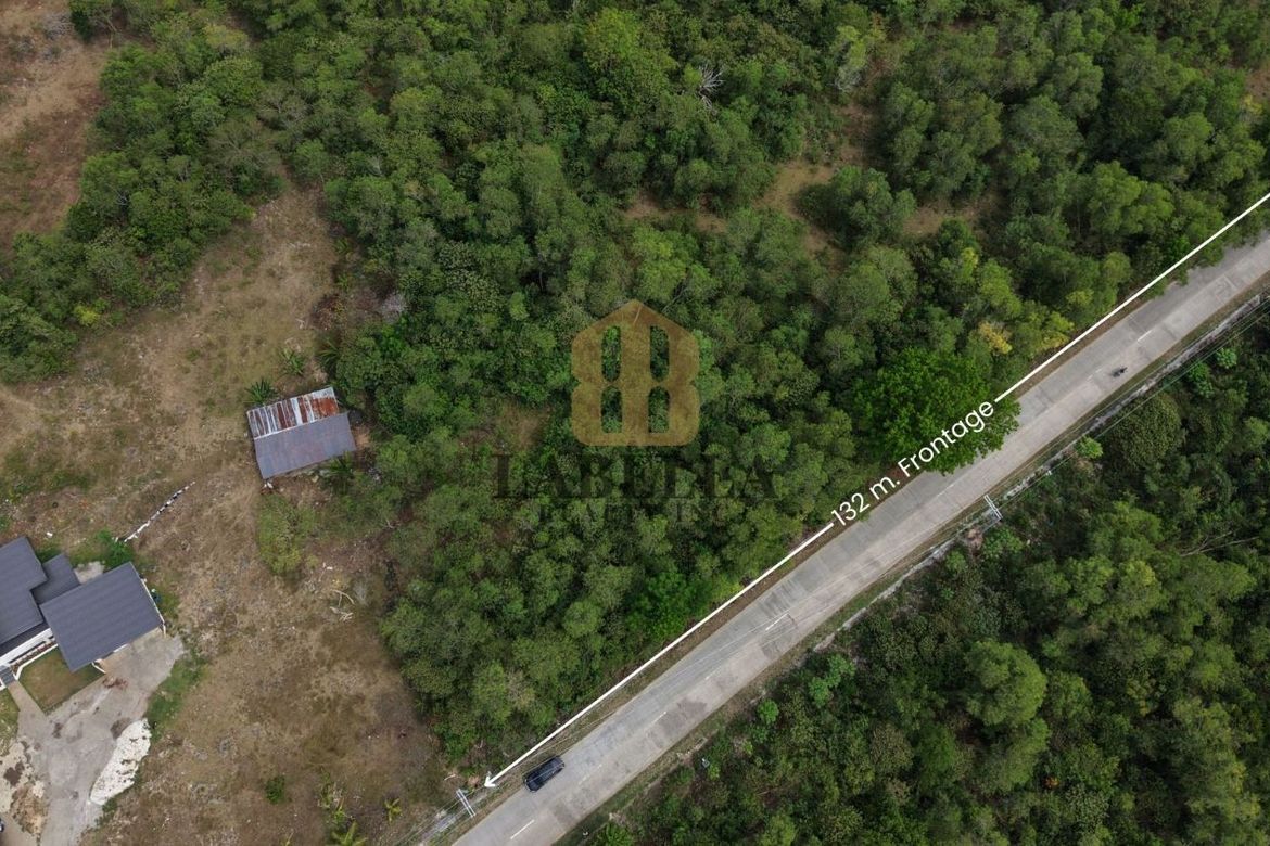Land for Sale in Dao, Dauis, Bohol – photo 2