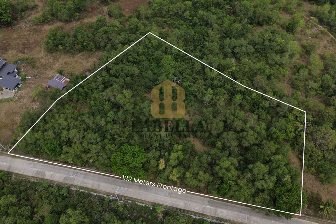 Land for Sale in Dao, Dauis, Bohol – photo 3