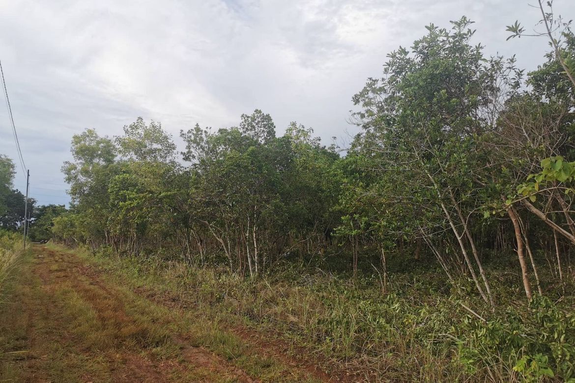Land for Sale in Dao, Dauis, Bohol – photo 5