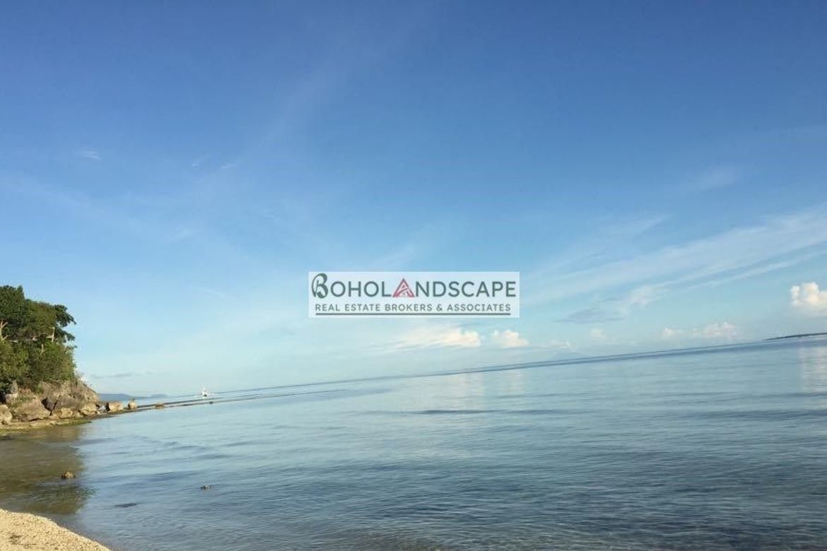 Land for Sale in Dao, Dauis, Bohol – photo 2