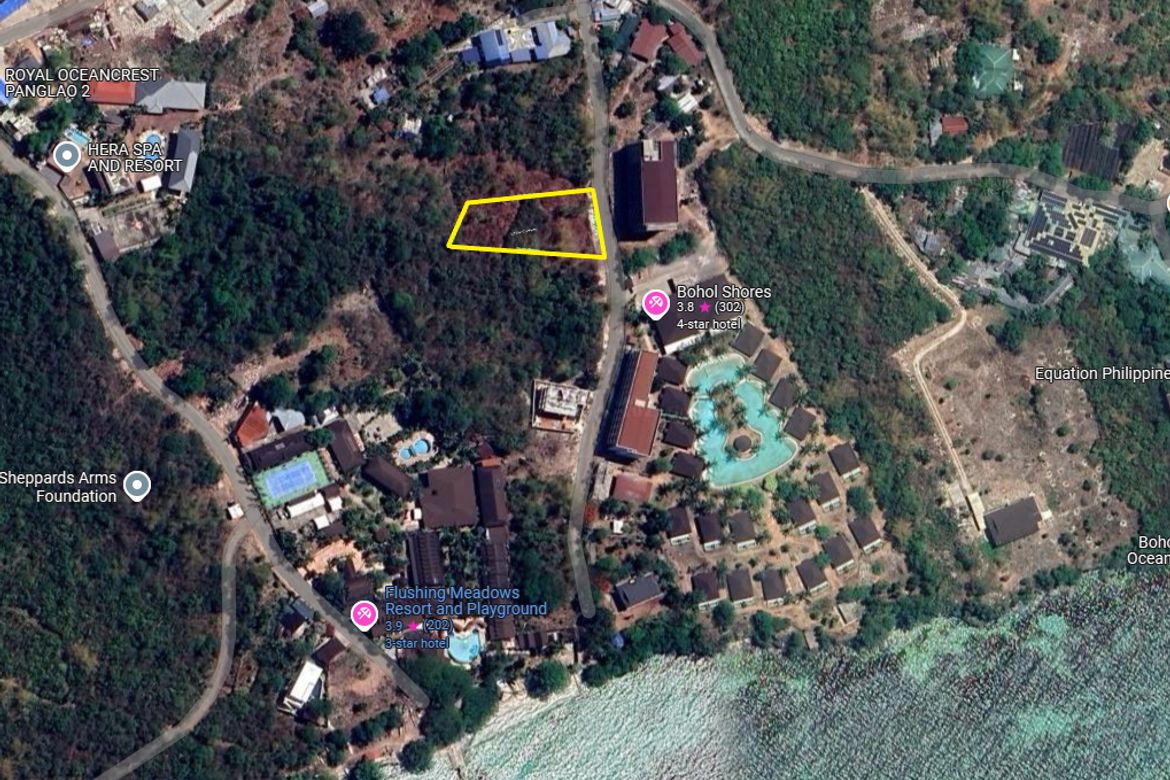 Land for Sale in Dao, Dauis, Bohol – photo 3