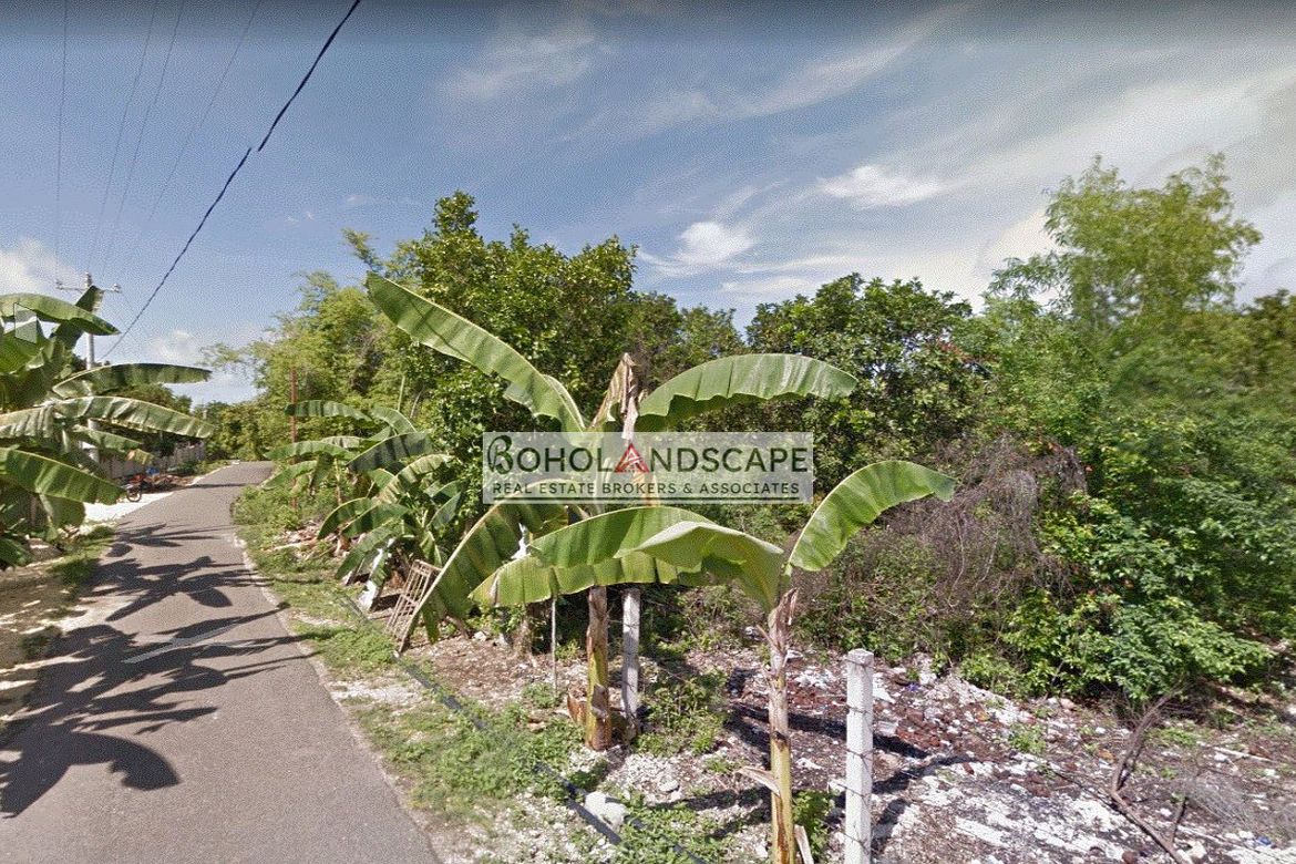 Land for Sale in Dao, Dauis, Bohol – photo 2
