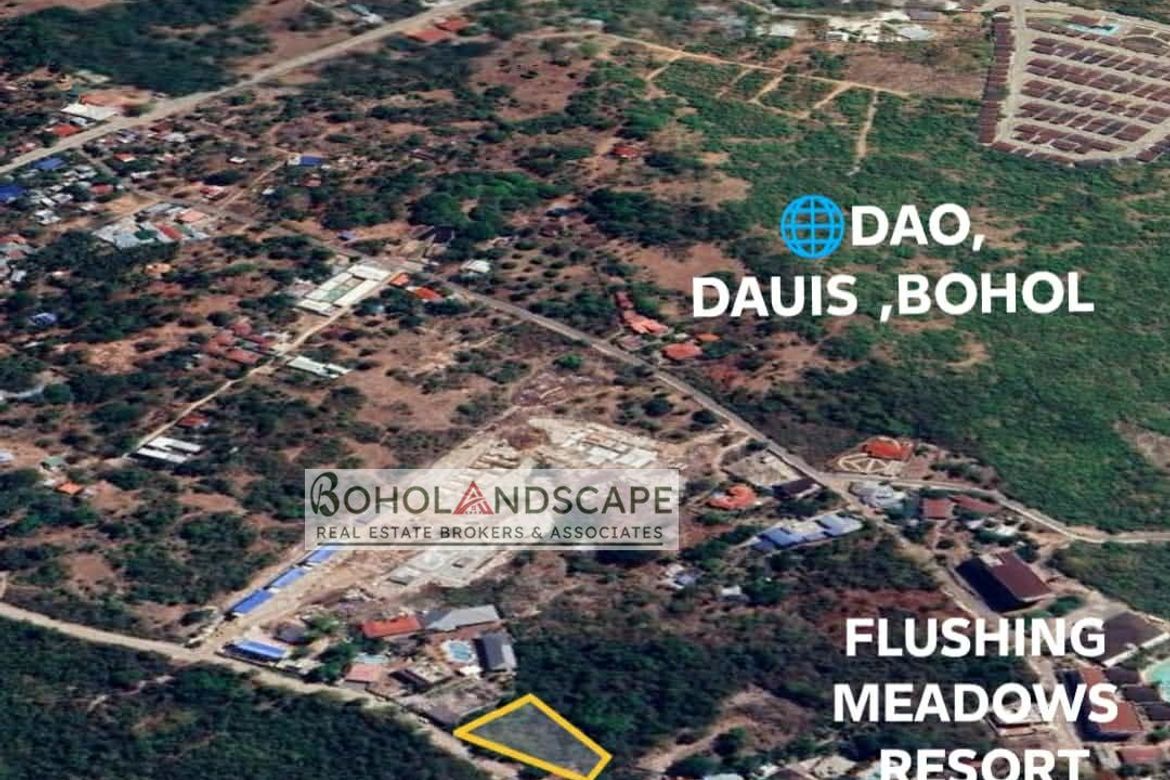 Land for Sale in Dao, Dauis, Bohol
