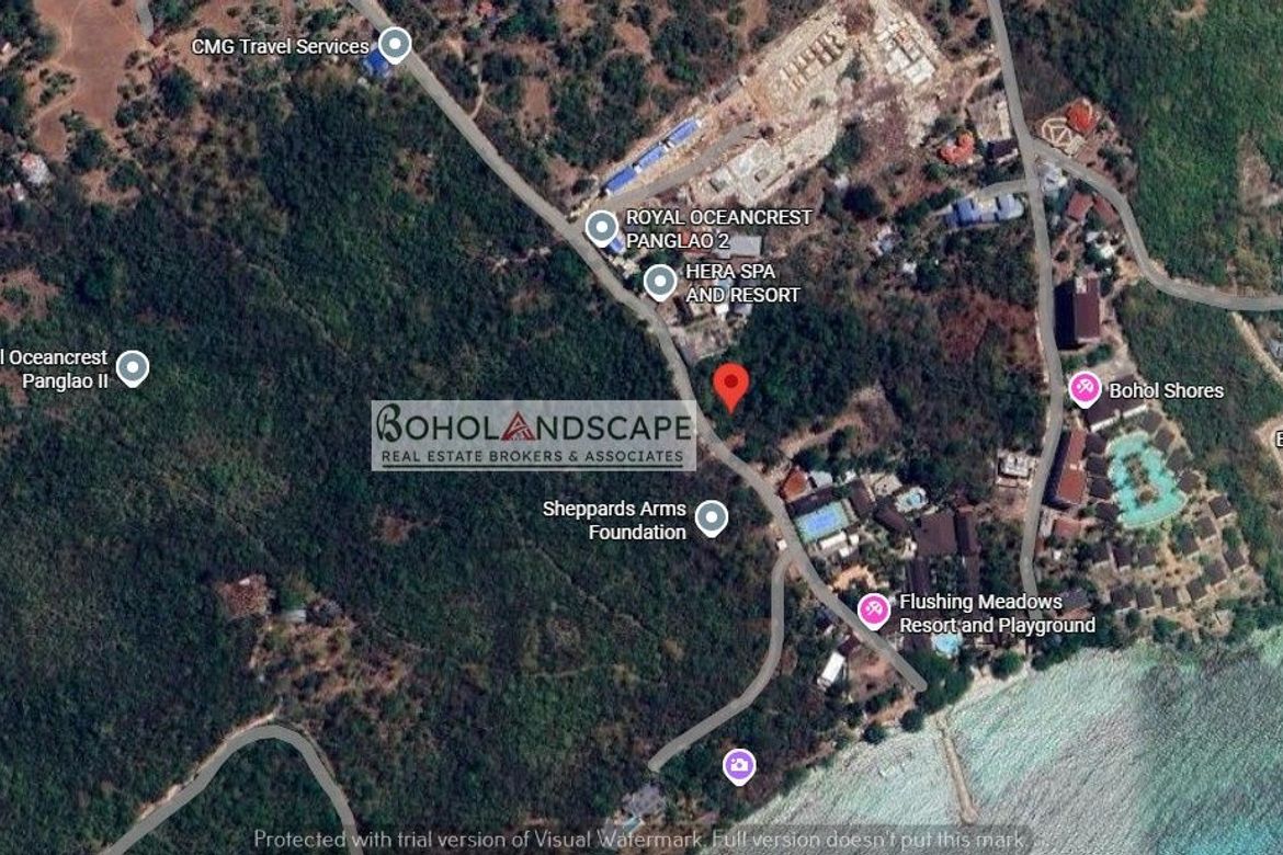 Land for Sale in Dao, Dauis, Bohol – photo 4