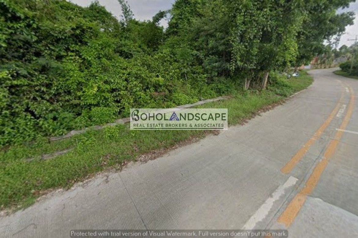 Land for Sale in Dao, Dauis, Bohol – photo 5