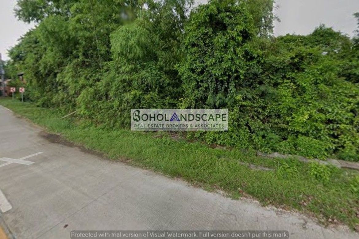 Land for Sale in Dao, Dauis, Bohol – photo 6