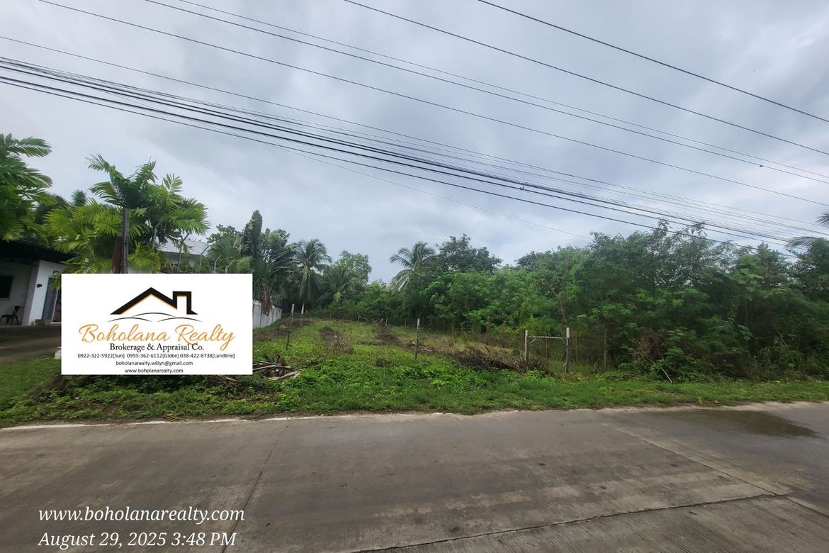 Land for Sale in Dao, Dauis, Bohol