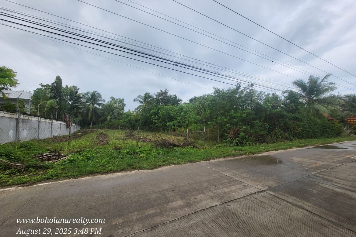 Land for Sale in Dao, Dauis, Bohol – photo 2