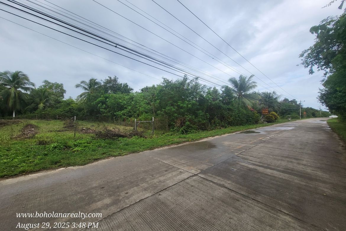 Land for Sale in Dao, Dauis, Bohol – photo 4