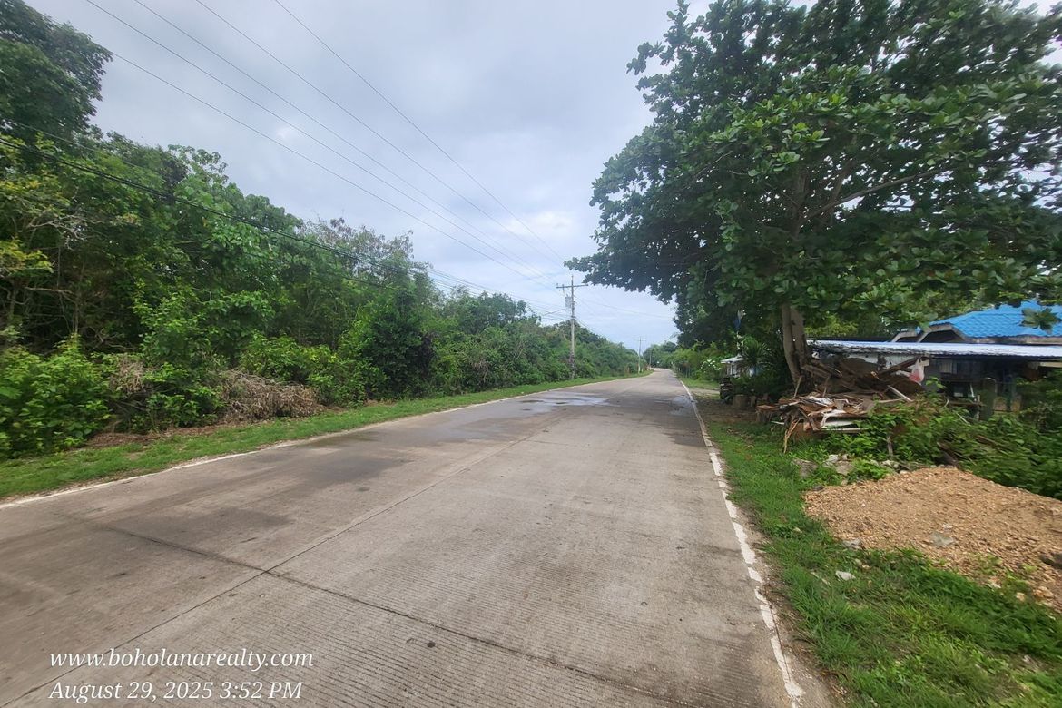 Land for Sale in Dao, Dauis, Bohol – photo 6