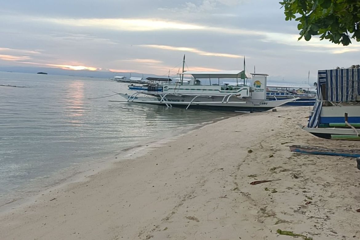 Land for Sale in Dao, Dauis, Bohol