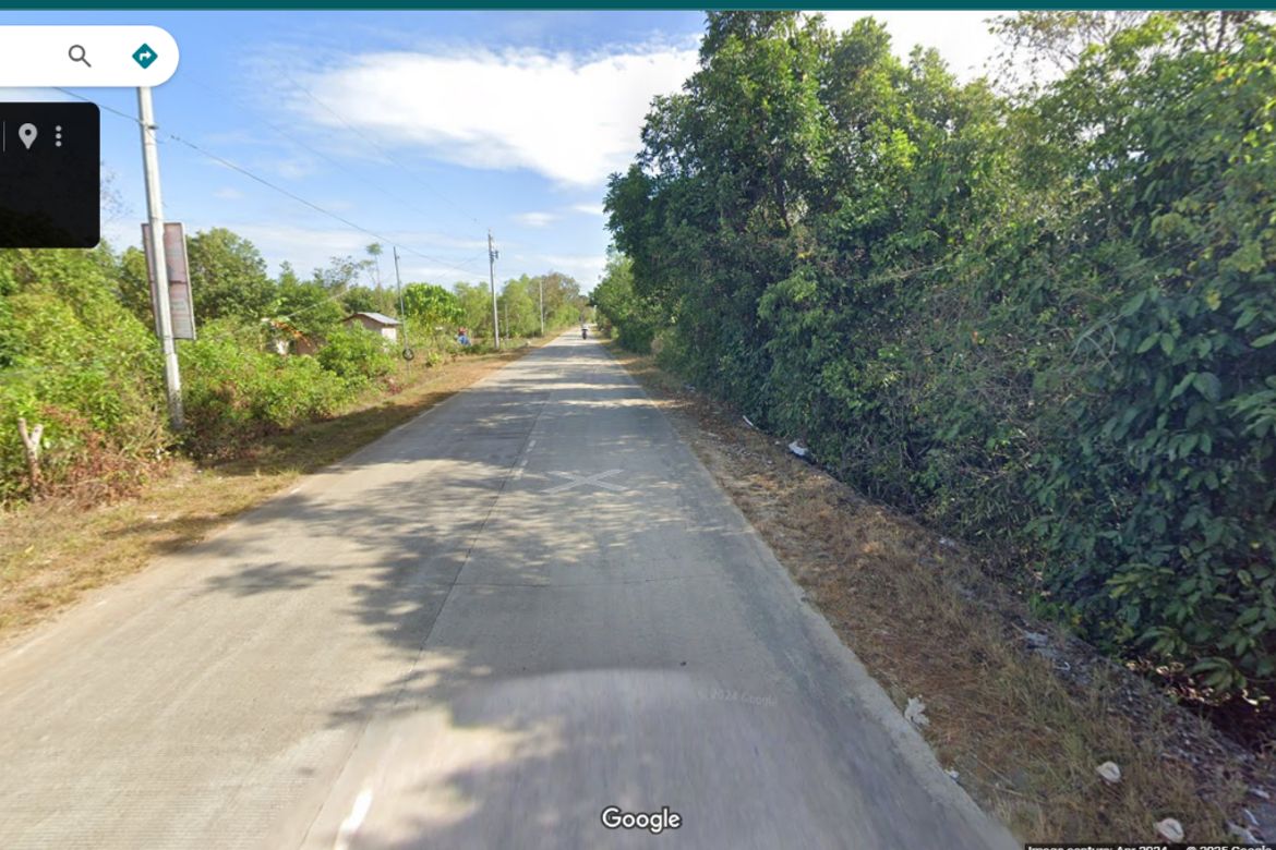 Land for Sale in Dao, Dauis, Bohol – photo 2
