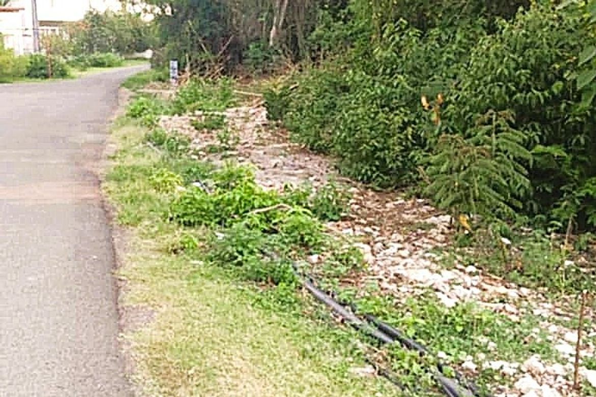 Land for Sale in Dao, Dauis, Bohol – photo 2