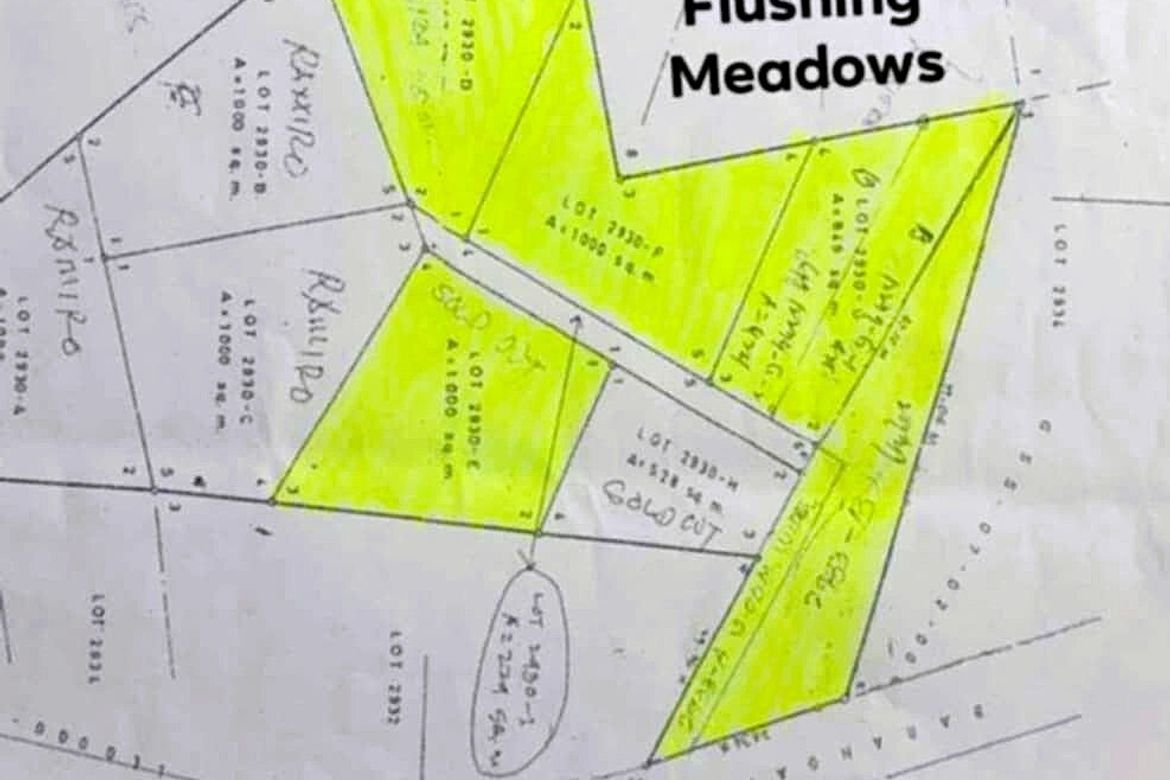 Land for Sale in Dao, Dauis, Bohol – photo 7