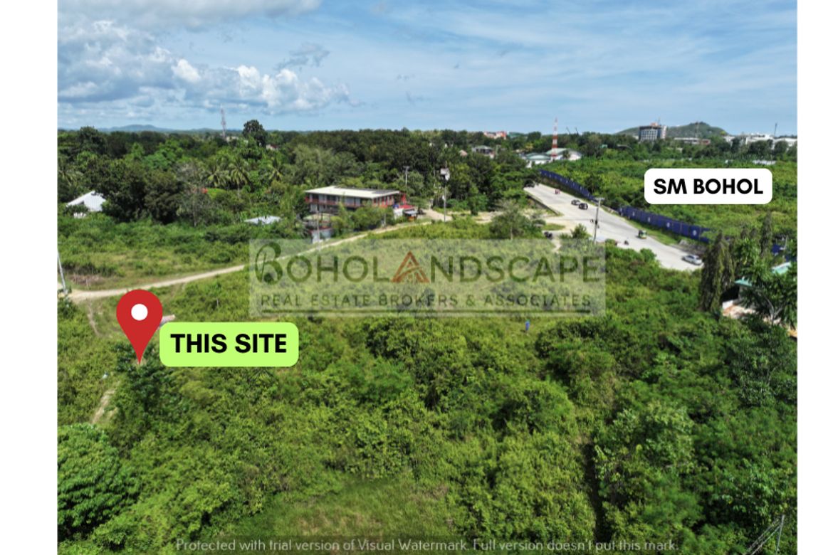 Land for Sale in Dao, Tagbilaran, Bohol – photo 5