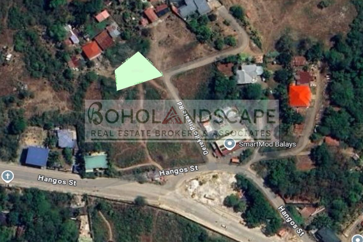 Land for Sale in Dao, Tagbilaran, Bohol – photo 8