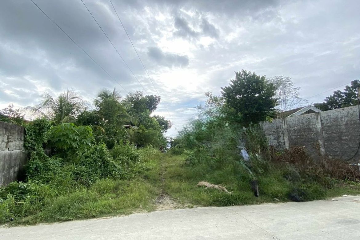 Land for Sale in Dao, Tagbilaran, Bohol