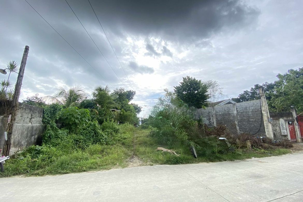 Land for Sale in Dao, Tagbilaran, Bohol – photo 2