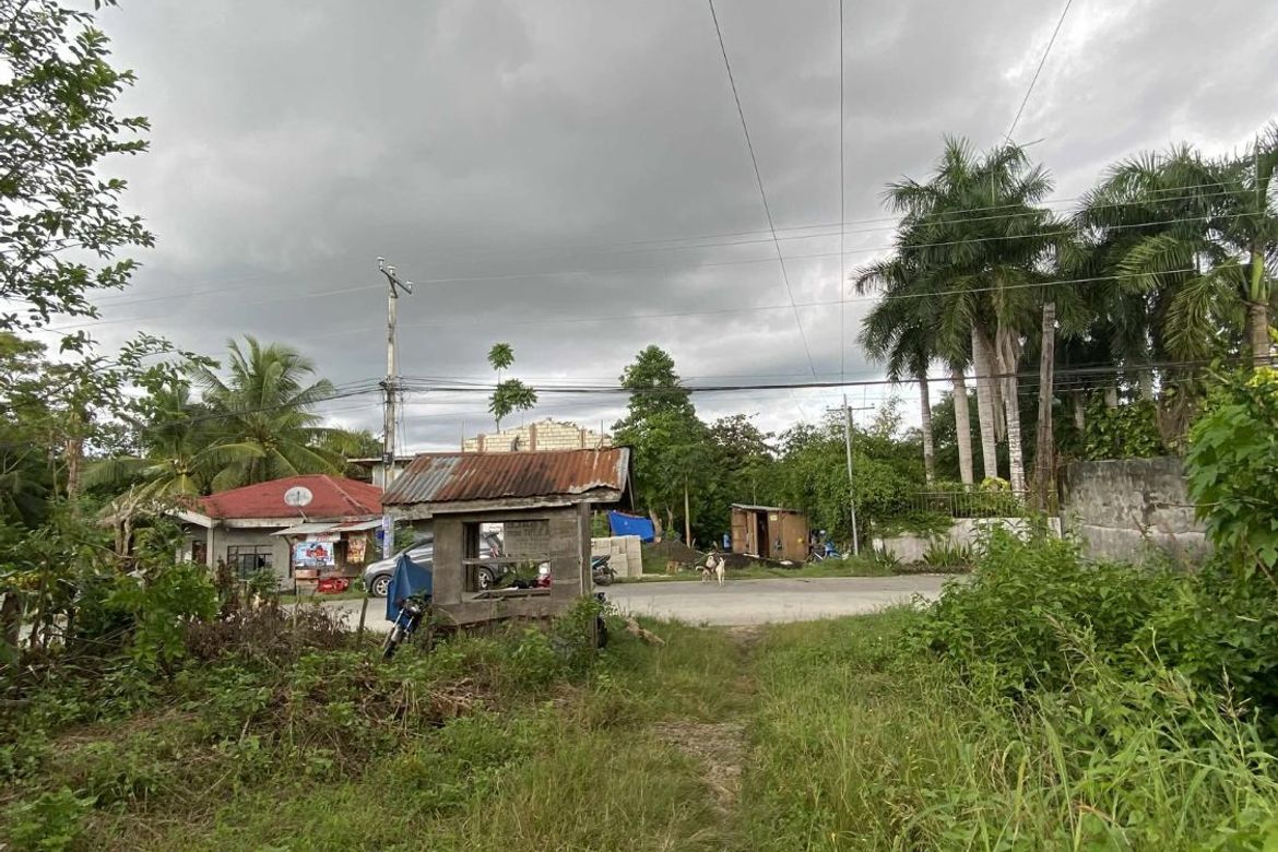 Land for Sale in Dao, Tagbilaran, Bohol – photo 7