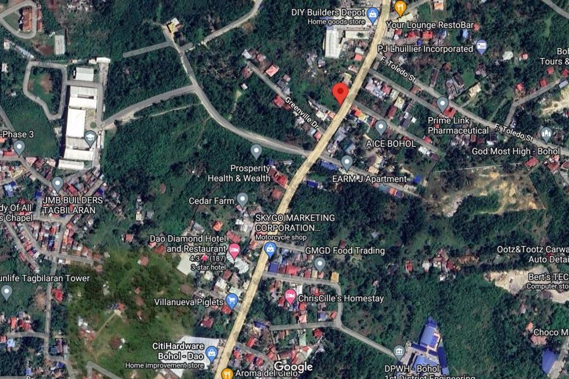 Land for Sale in Dao, Tagbilaran, Bohol – photo 2