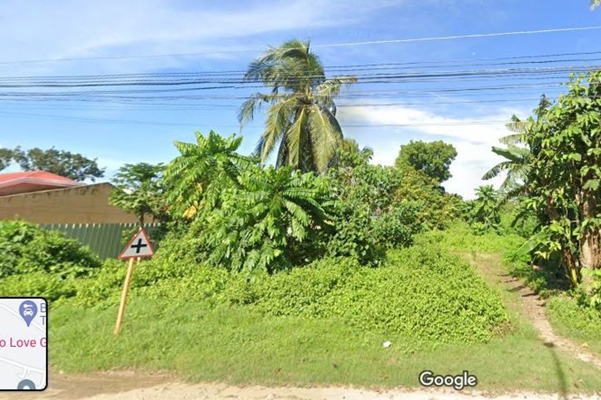 Land for Sale in Dao, Tagbilaran, Bohol – photo 6
