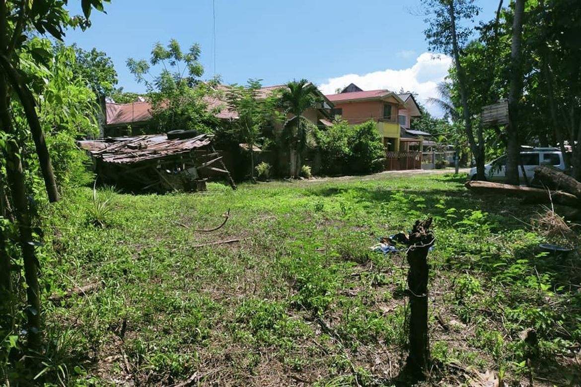 Land for Sale in Dao, Tagbilaran, Bohol