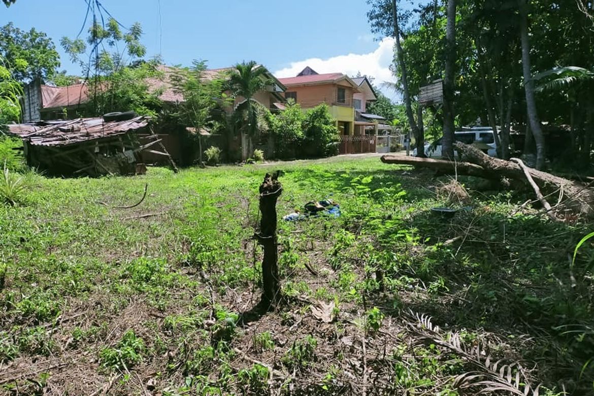 Land for Sale in Dao, Tagbilaran, Bohol – photo 2