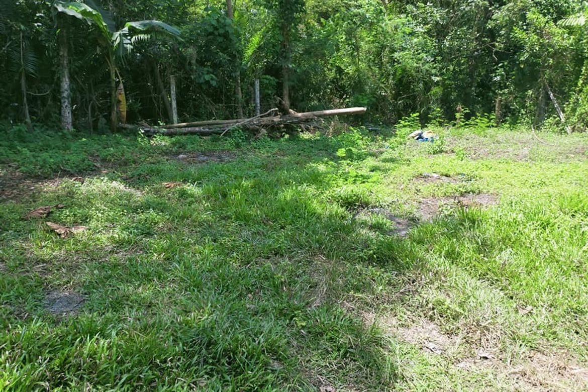 Land for Sale in Dao, Tagbilaran, Bohol – photo 3