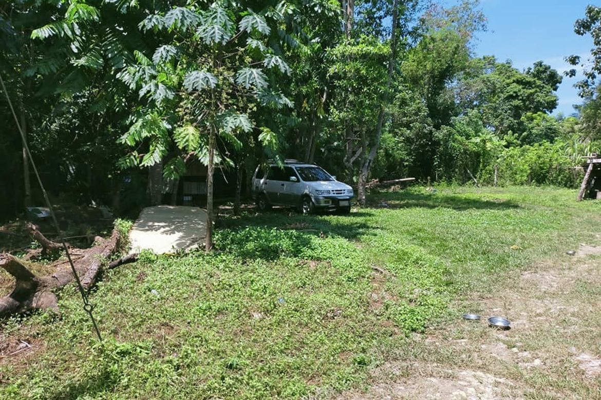 Land for Sale in Dao, Tagbilaran, Bohol – photo 5