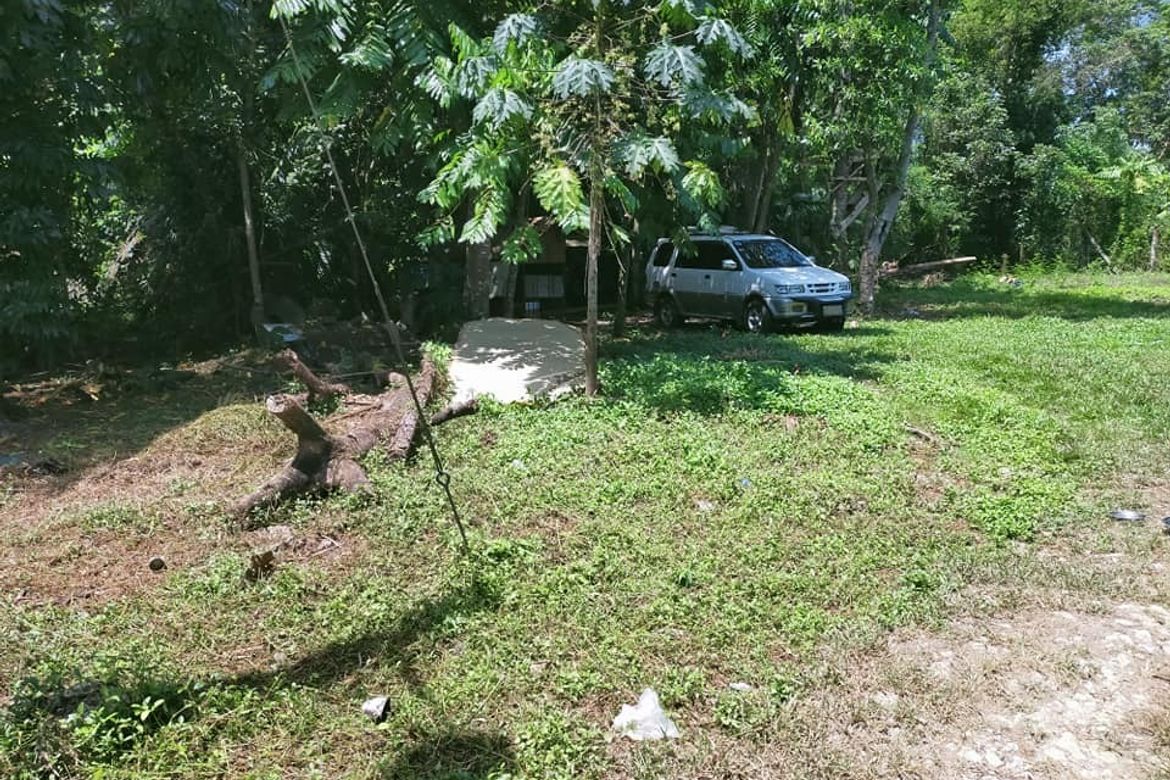 Land for Sale in Dao, Tagbilaran, Bohol – photo 6
