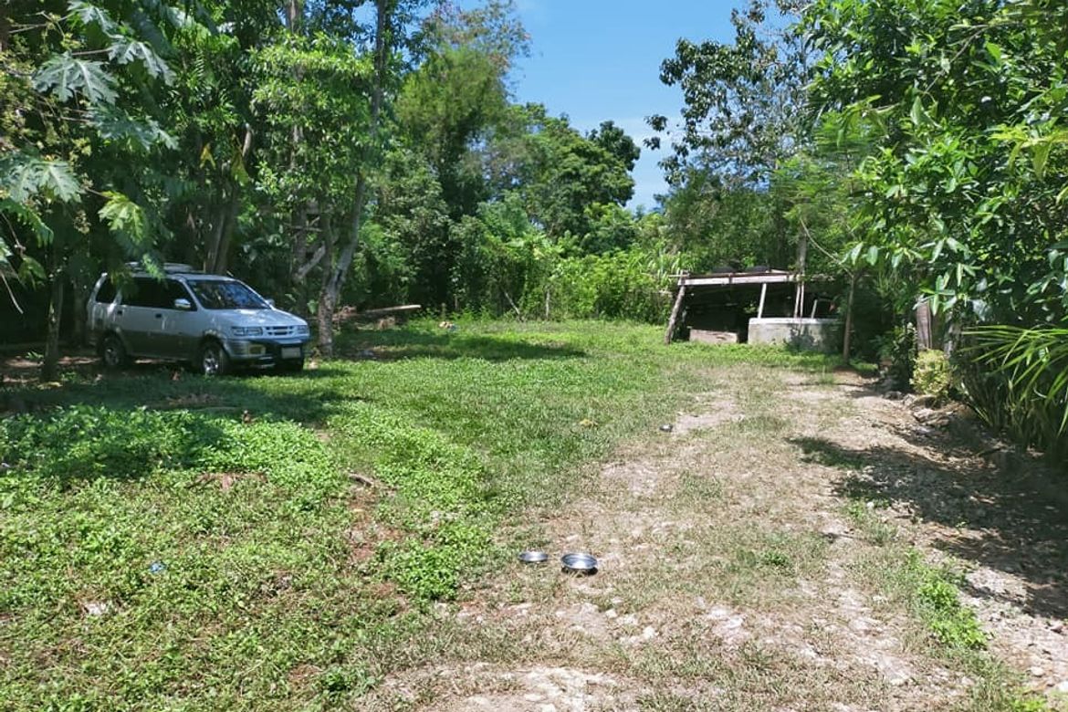 Land for Sale in Dao, Tagbilaran, Bohol – photo 8