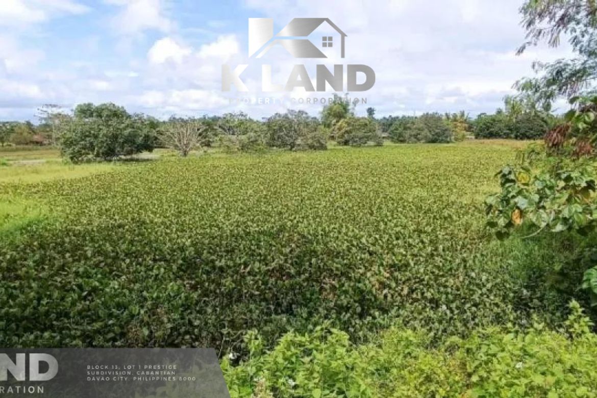Land for Sale in Dapco, Panabo, Davao del Norte – photo 3