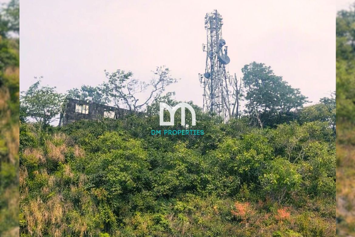 Land for Sale in Dapdap East, Tagaytay, Cavite – photo 6