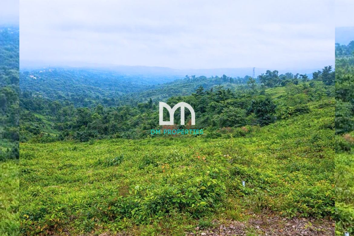 Land for Sale in Dapdap East, Tagaytay, Cavite – photo 7