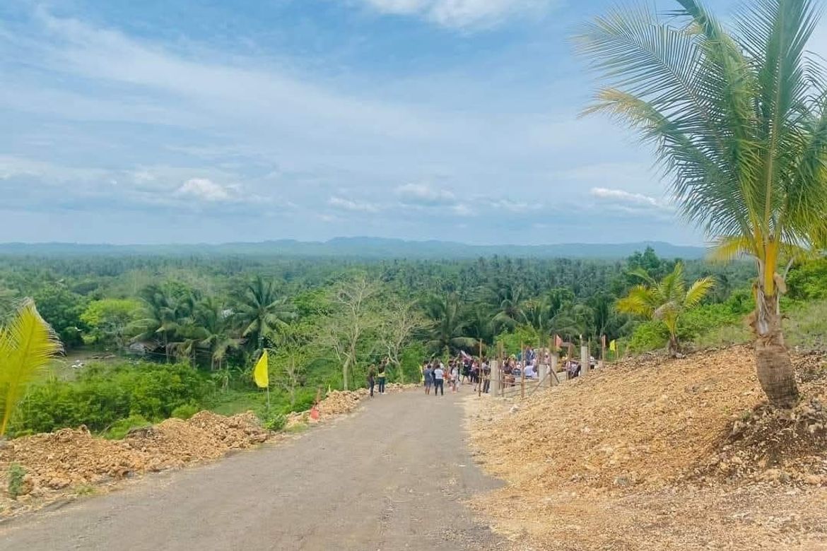 Land for Sale in Dapdap, San Remigio, Cebu – photo 8