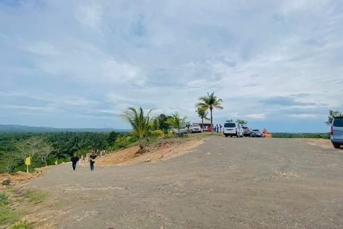 Land for Sale in Dapdap, San Remigio, Cebu – photo 3