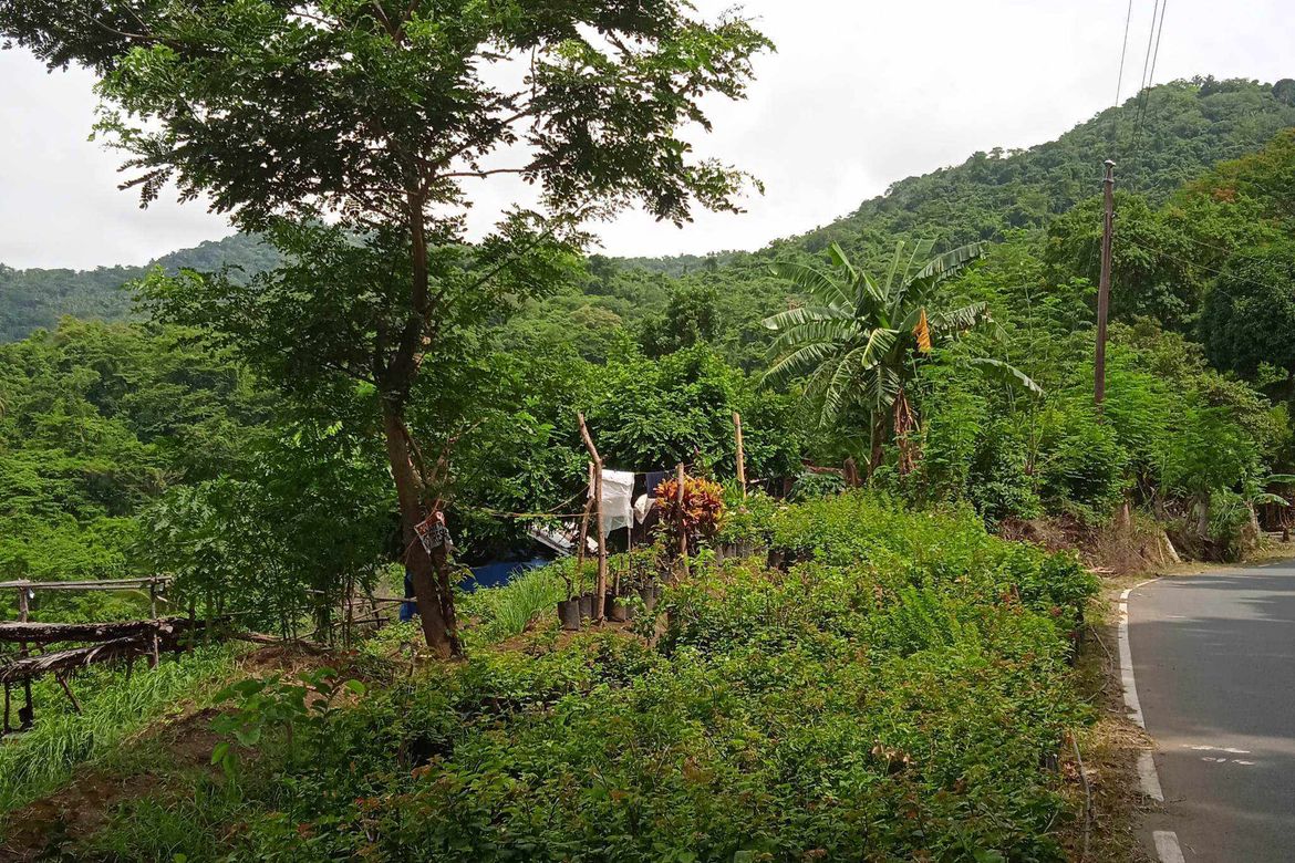 Land for Sale in Dapdap West, Tagaytay, Cavite – photo 3
