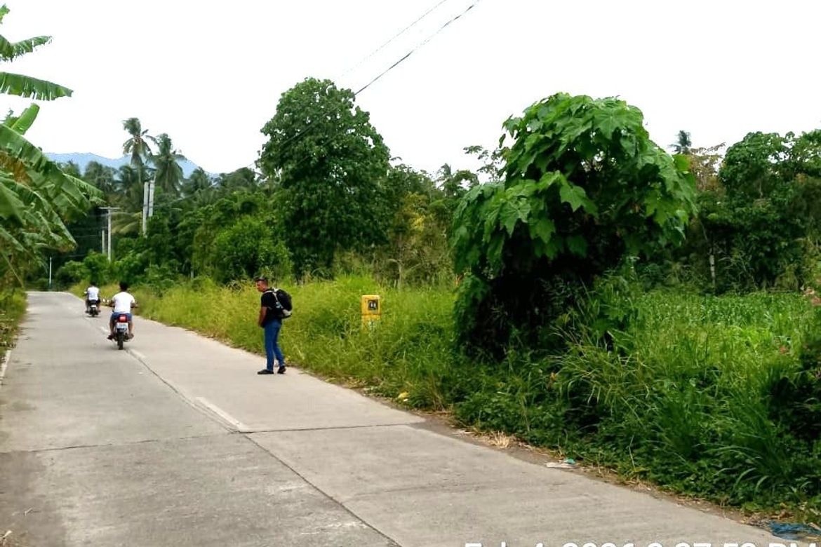 Land for Sale in Darong, Santa Cruz, Davao del Sur – photo 2
