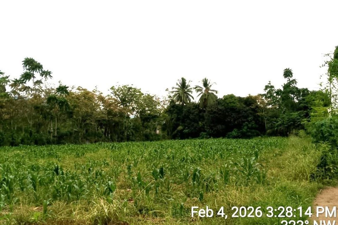 Land for Sale in Darong, Santa Cruz, Davao del Sur – photo 3