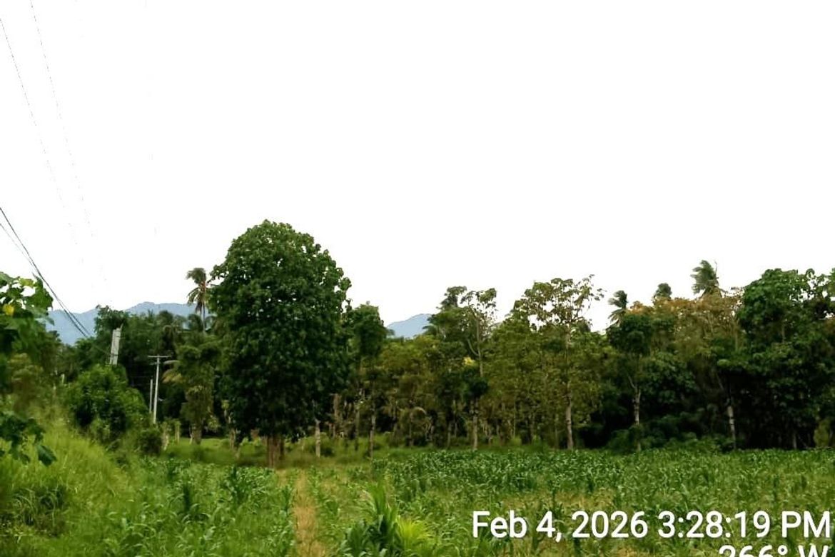 Land for Sale in Darong, Santa Cruz, Davao del Sur – photo 7