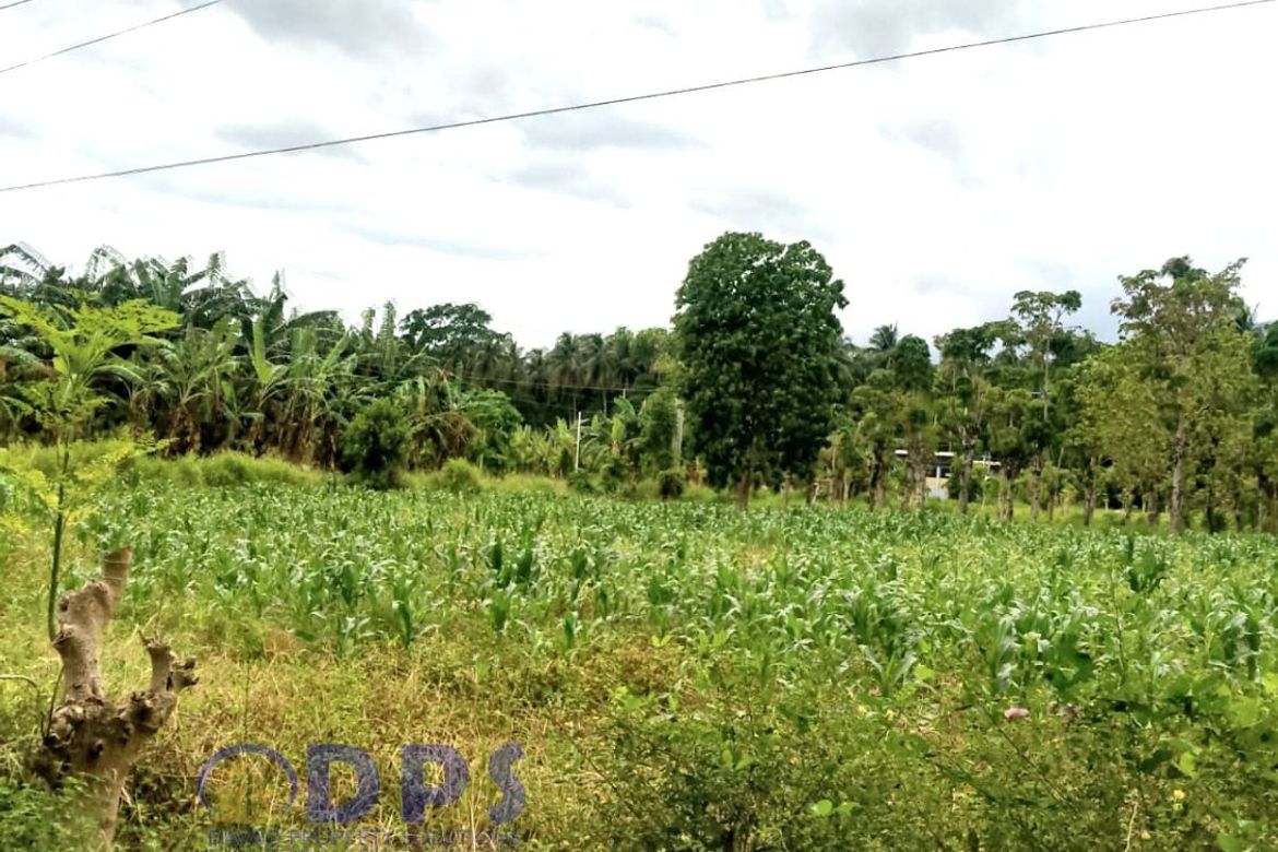 Land for Sale in Darong, Santa Cruz, Davao del Sur – photo 8