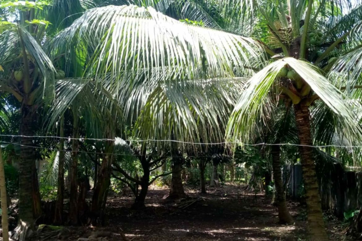 Land for Sale in Darong, Santa Cruz, Davao del Sur – photo 2