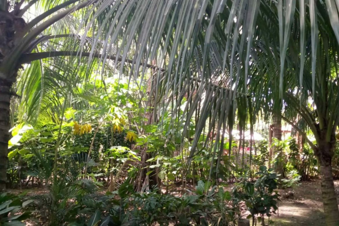 Land for Sale in Darong, Santa Cruz, Davao del Sur – photo 3