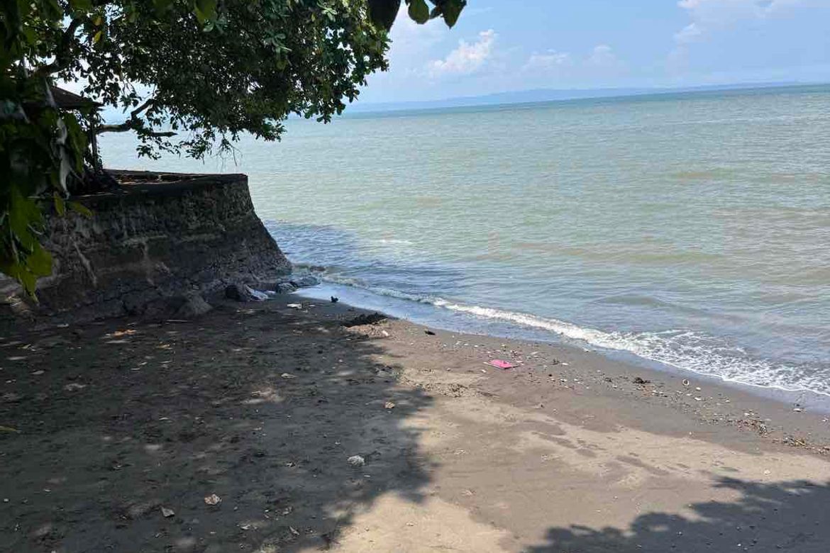 Land for Sale in Darong, Santa Cruz, Davao del Sur