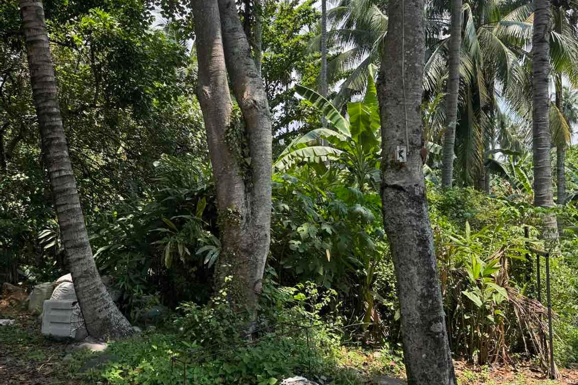 Land for Sale in Darong, Santa Cruz, Davao del Sur – photo 6