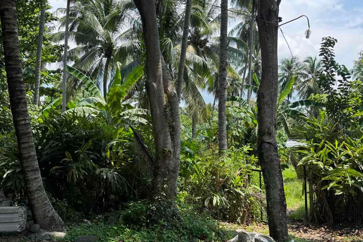 Land for Sale in Darong, Santa Cruz, Davao del Sur – photo 7