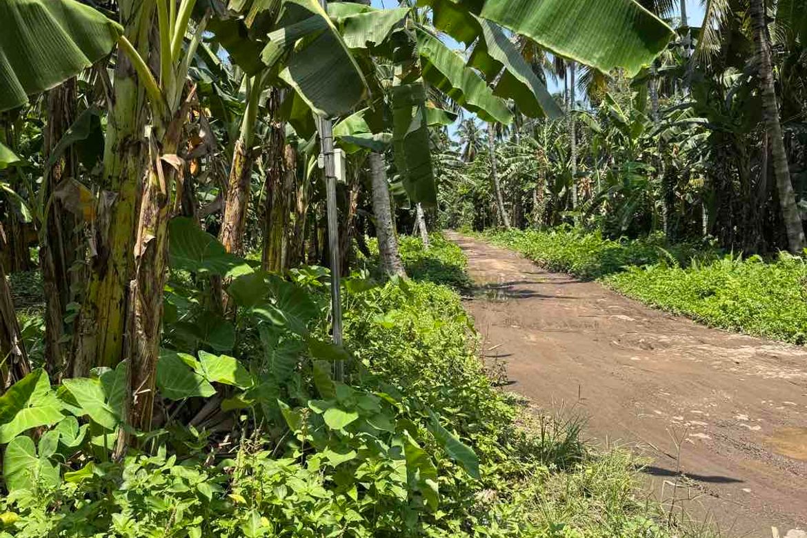 Land for Sale in Darong, Santa Cruz, Davao del Sur – photo 8