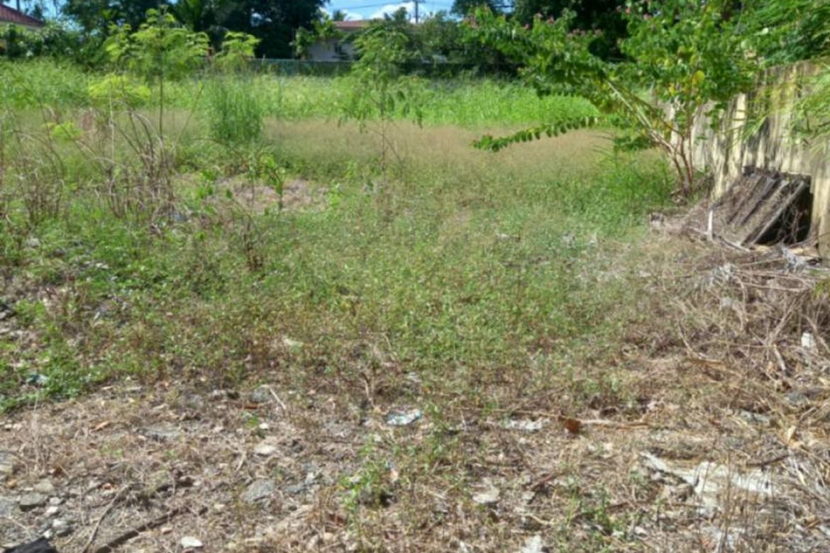 Land for Sale in Dasmariñas Village, Dasmariñas North, Makati, Metro Manila near MRT-3 Magallanes – photo 3