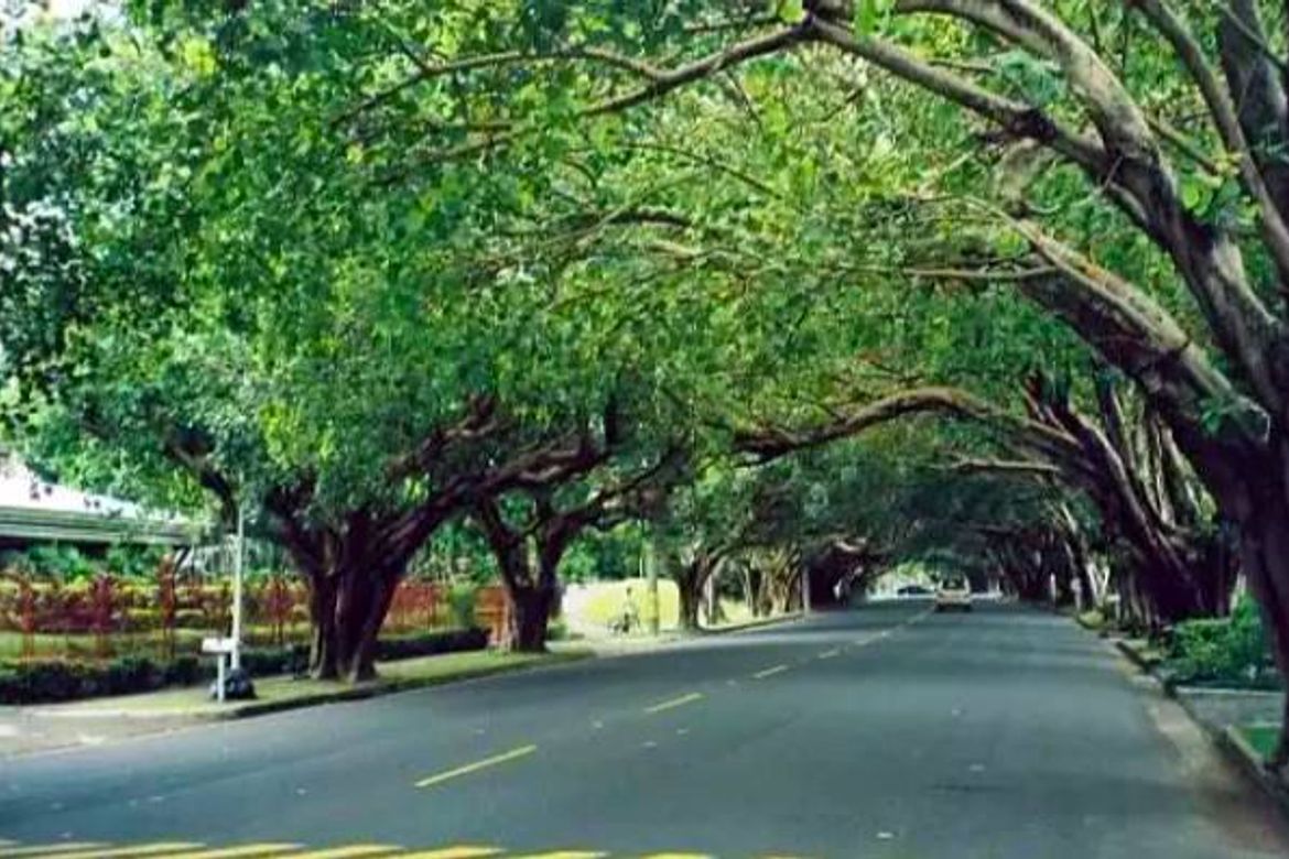 Land for Sale in Dasmariñas Village, Dasmariñas North, Makati, Metro Manila near MRT-3 Magallanes – photo 4